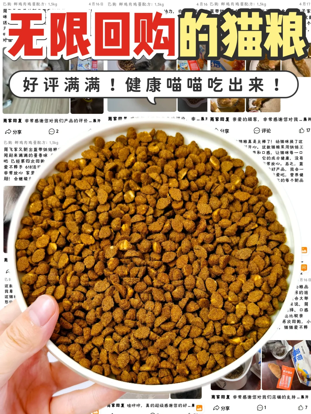 Share✨无限回购的蓝带烘焙猫粮‼ 挑食猫爱吃