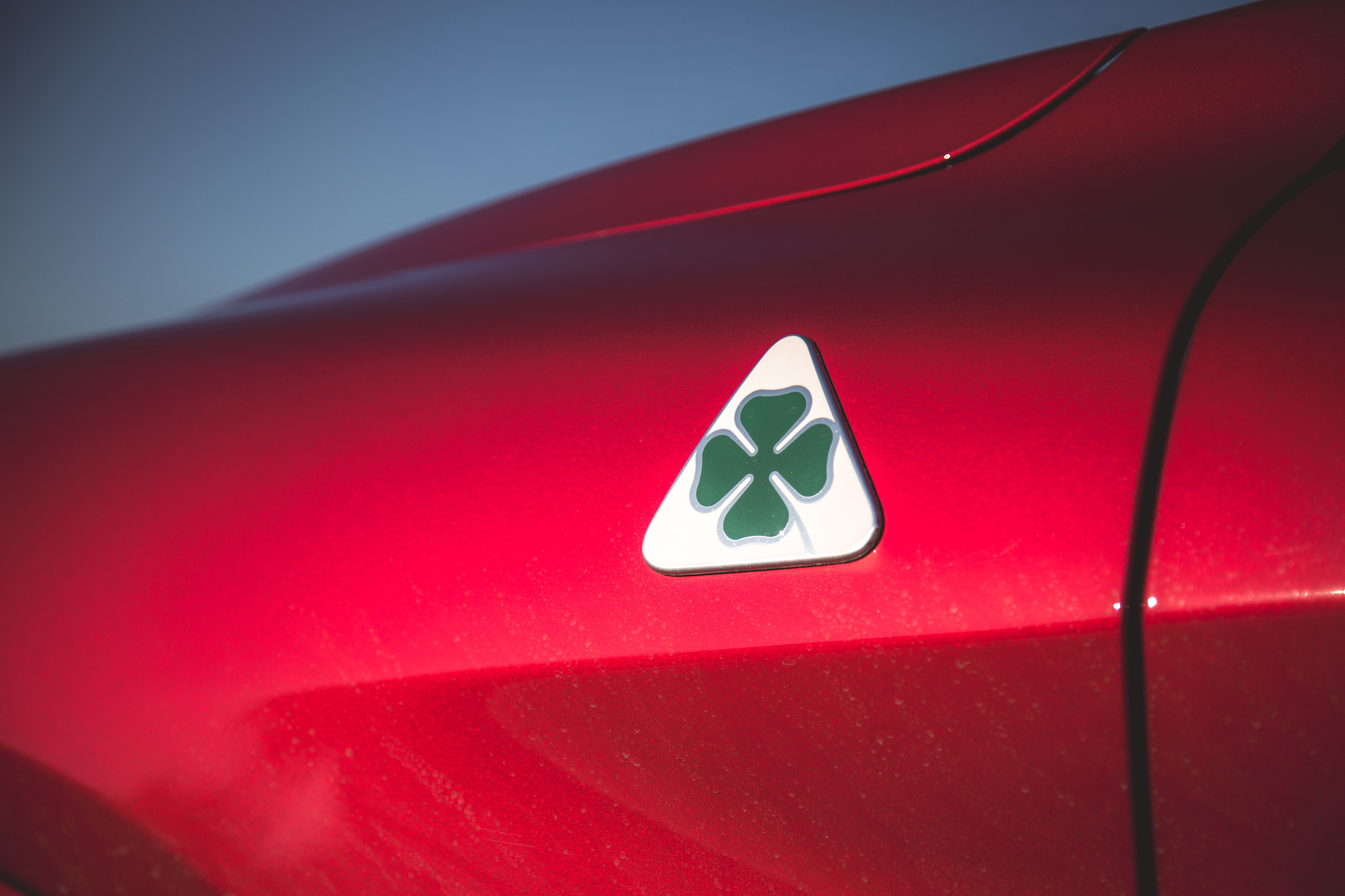 阿尔法罗密欧 Stelvio Quadrifoglio ​​​