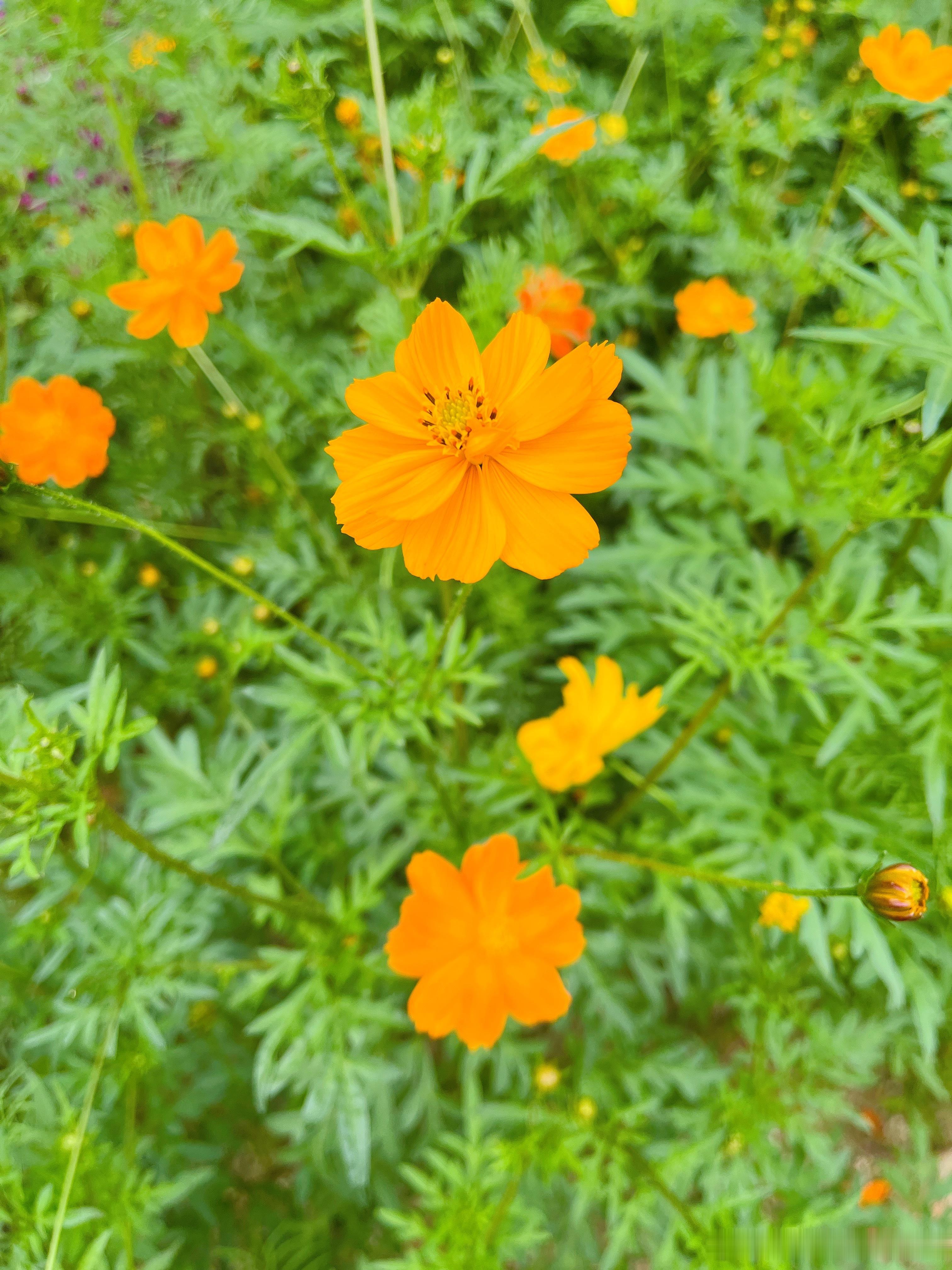 多去争取别人抢不走的东西，比如思维，比如身材；比如气质，比如快乐。—— 张爱玲 