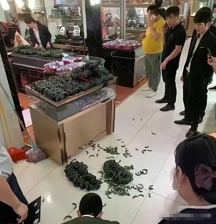 这一下需要倾家荡产了吧！