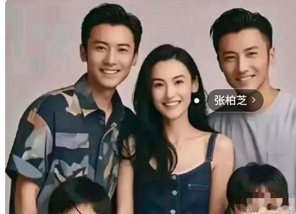 张柏芝的三个儿子分别是：长子：谢振轩，17岁，生父是谢霆锋。次子：谢振南，14岁