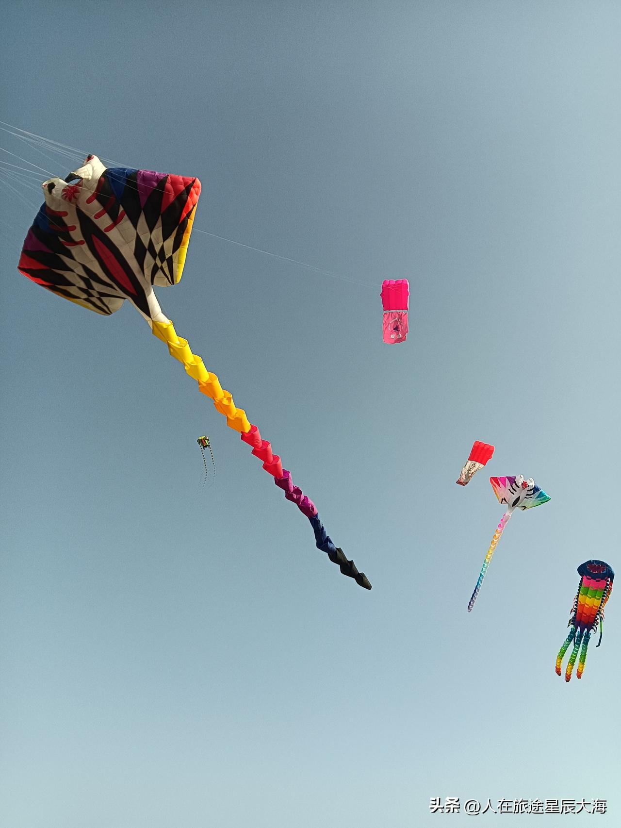 下午我去了东南郊的杜邑遗址公园和唐苑。冬日晴空下的公园大草坪成了五彩缤纷的风筝大