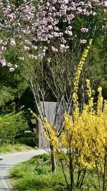 清明聚餐，平均年龄60岁的三个弟弟，殷勤劝酒，让70岁的姐夫喝醉了。
大姐气哼哼