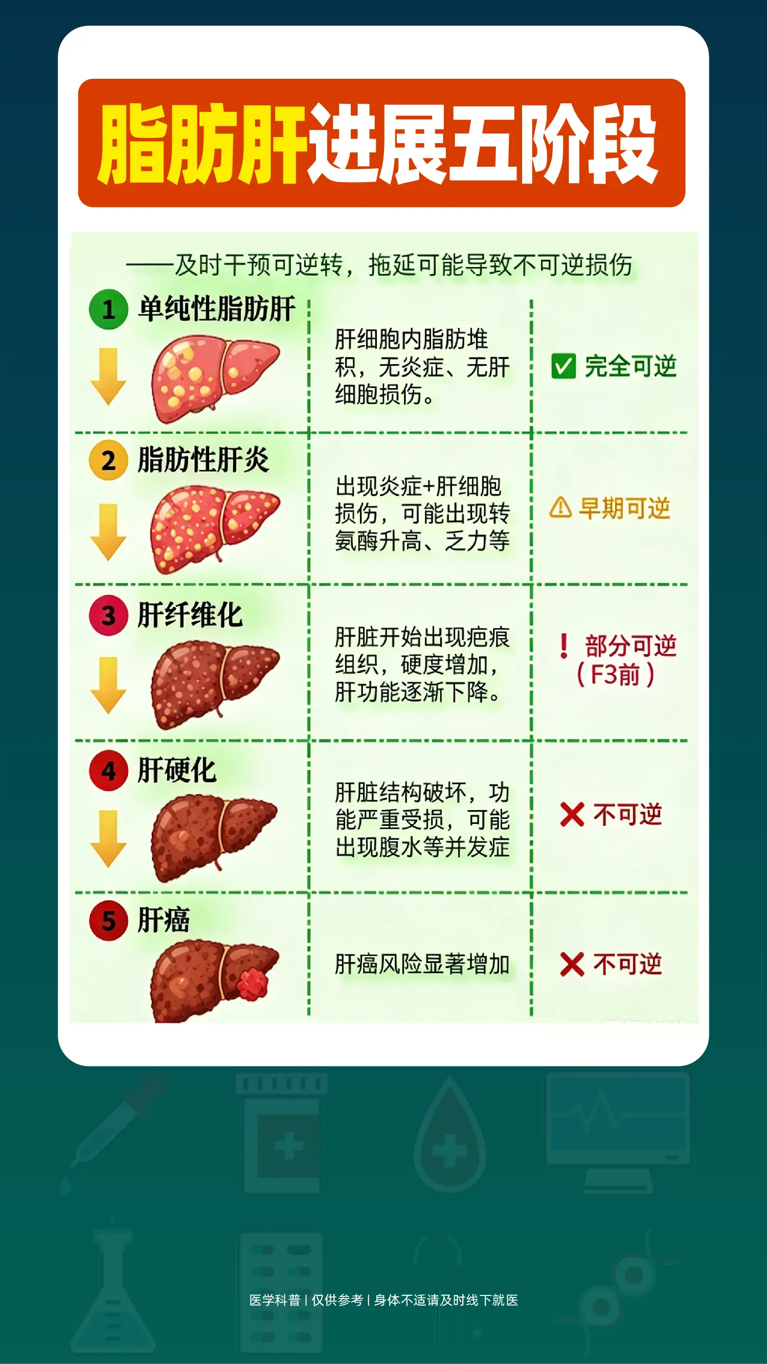 脂肪肝进展五阶段。