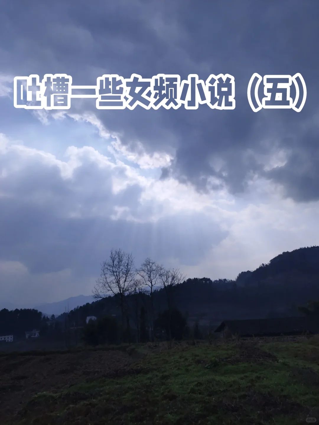 吐槽一些女频小说（五）