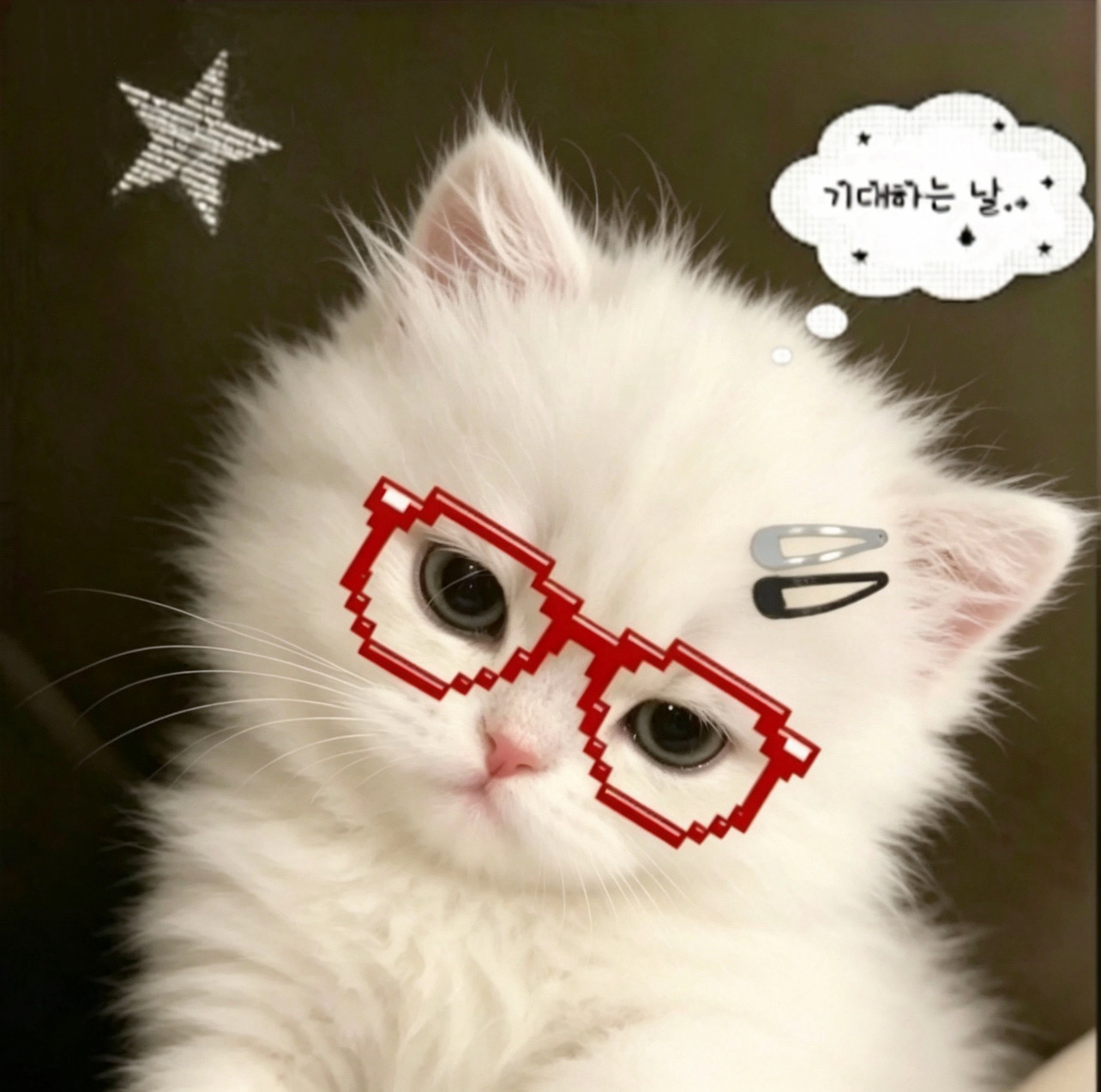 咪  ｜≽^•༚• ྀི≼ 喵🐈～ 