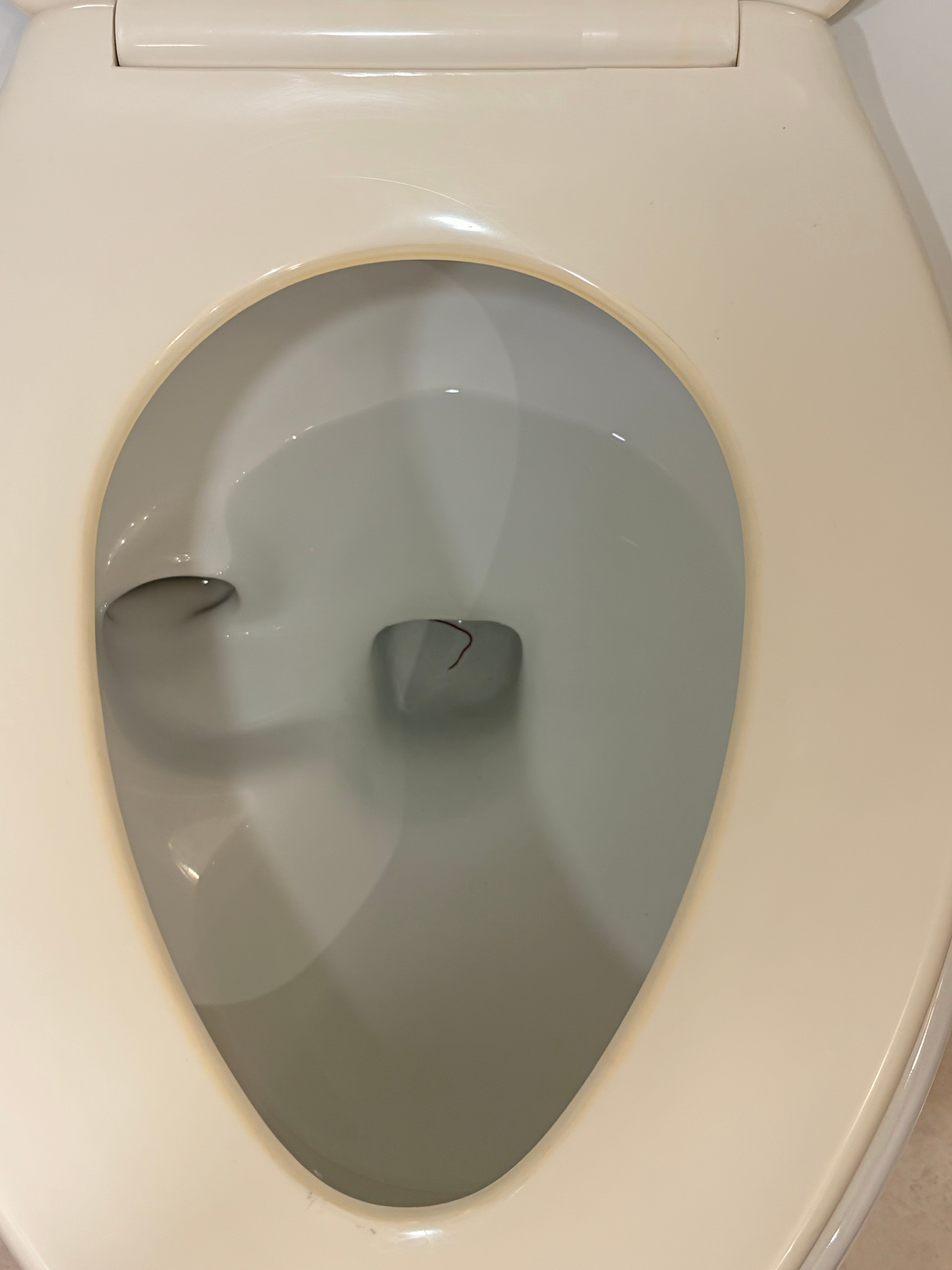 这次入住的酒店打开马桶，看到一条活体线虫，准备给我恶心坏了，再用厕所我都得好好擦