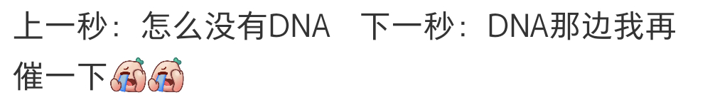 《风过留痕》——一部让弹幕一直在道歉的电视剧，叶谦carry全场，弹幕sorry