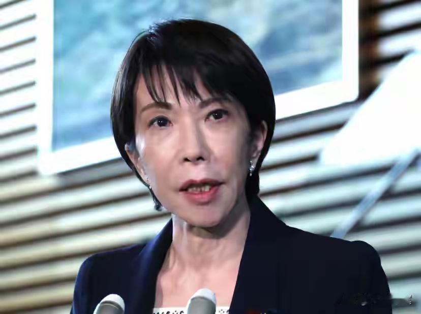 日本高市早苗这波操作真是够狠！她把地方自治体的 IT 采购收进白名单，相当于把中