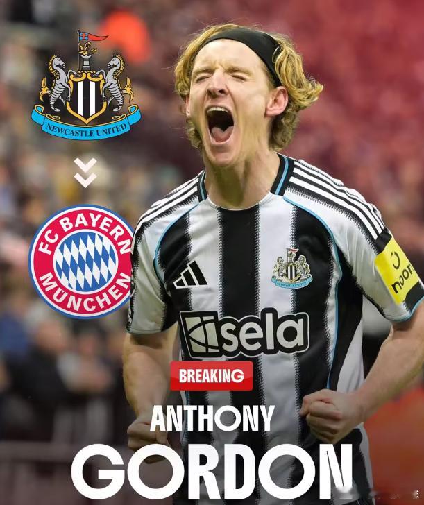 今日凌晨，据德国天空体育名记普莱滕贝格报道，拜仁正认真评估引进纽卡边锋安东尼·戈