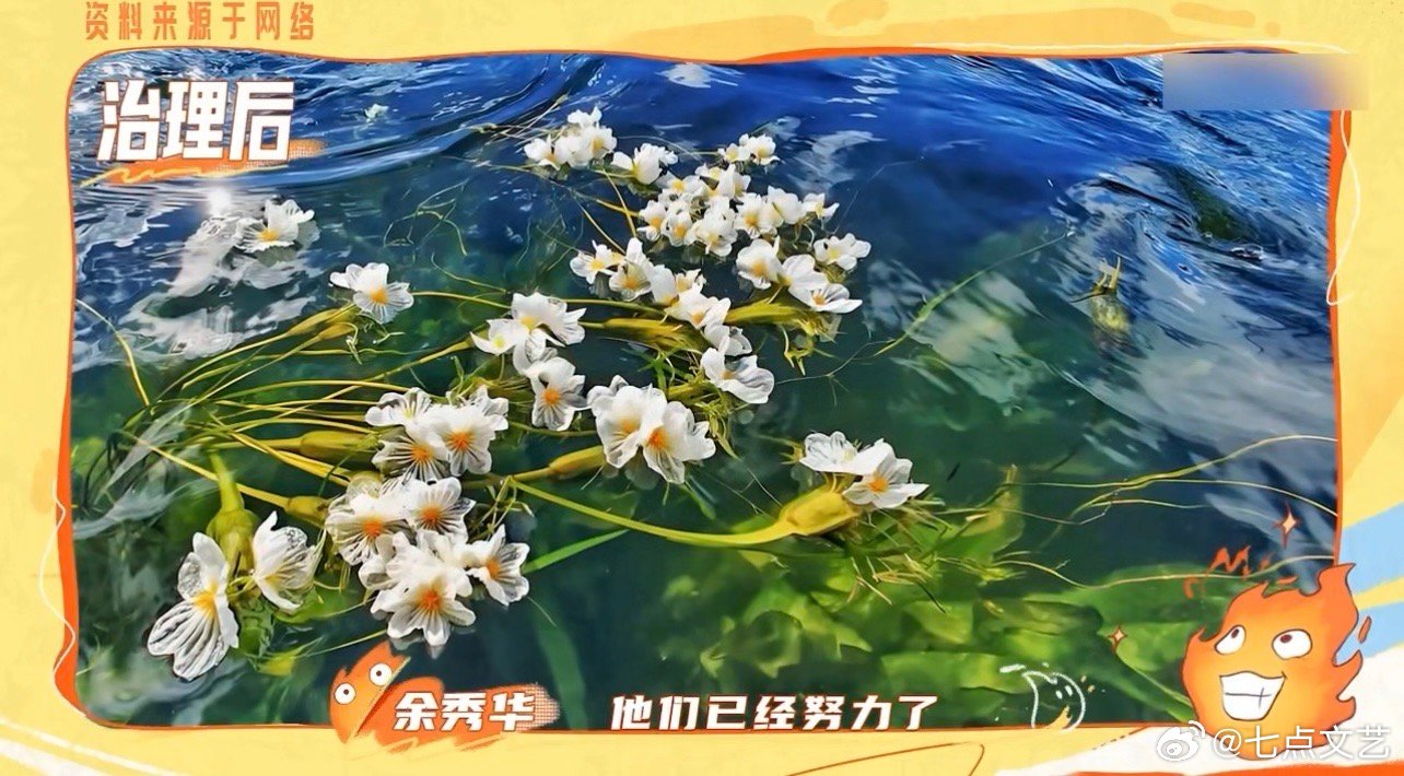 大理的浪漫藏着打捞队的温柔 大理的浪漫从不只在风景里，更在洱海打捞队姐姐们的身影