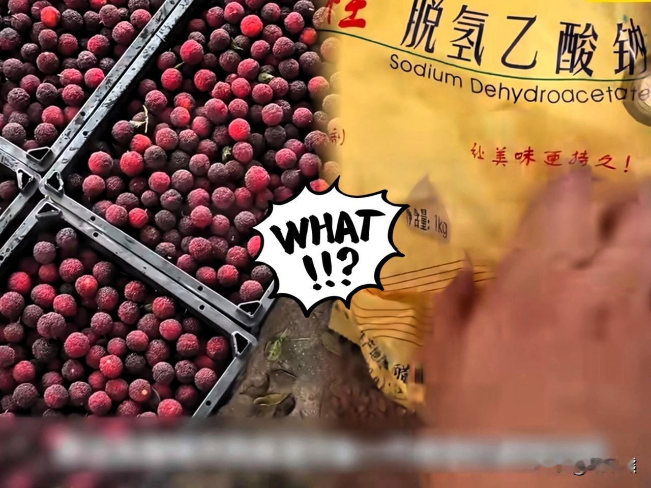 “福建杨梅泡药水”的事件
最大的受害者不是爱吃杨梅的人
而是那些老实巴交的果农。