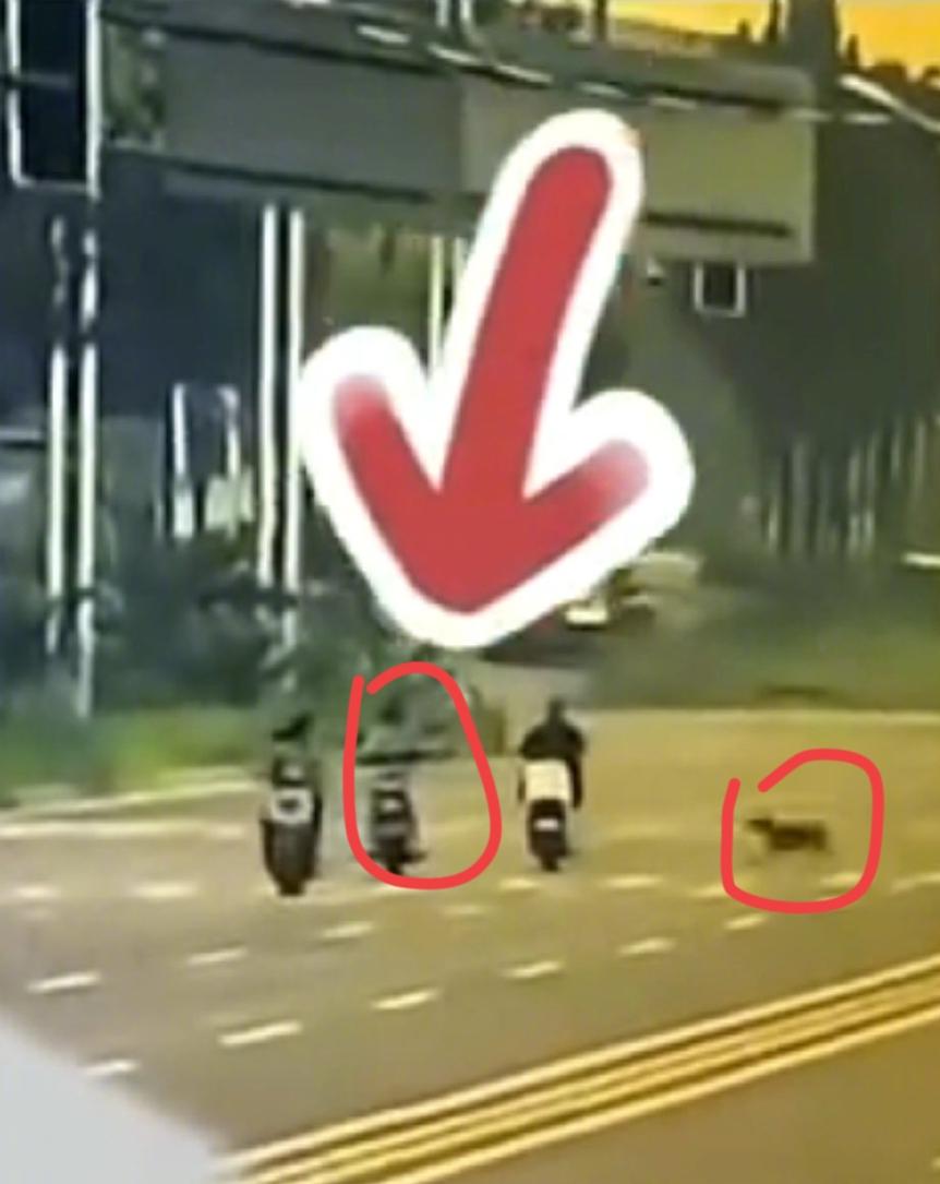 一场突如其来的横祸，
击碎了一个普通家庭的安宁。
在2025年7月20日，张女士