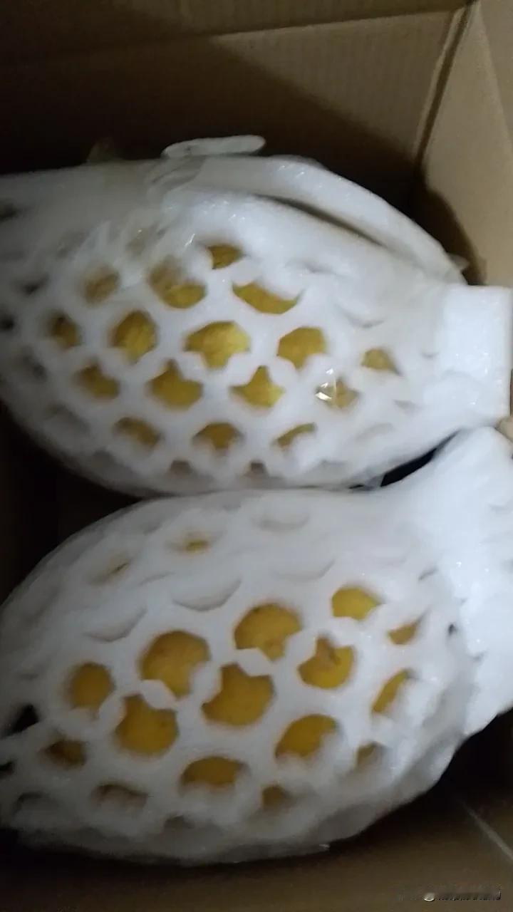 去看老人，不和他们共情，会少很多矛盾。我老妈不喜欢出门，喜欢聊家常，有几次我女儿