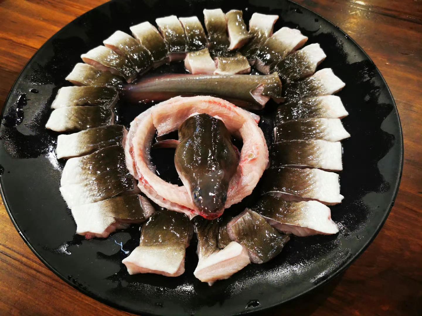 日料店的进口鳗鱼来自江西瑞金 江西瑞金鳗鱼进口，鲜美之选，为日料店带来绝佳食材。