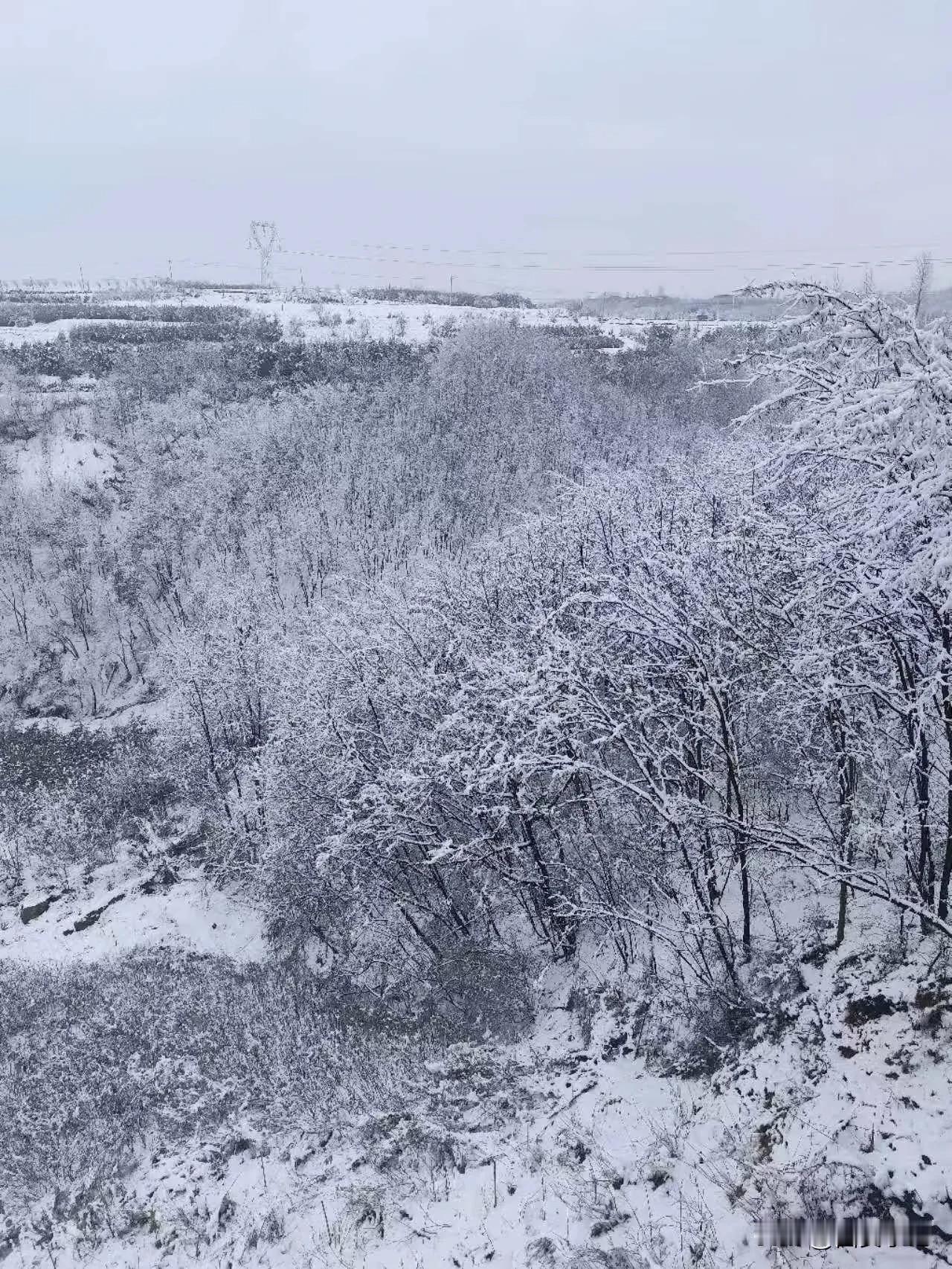 今天的西安终于暖和了，中午时达到15℃，早晨还是有些冷，明天最高温度在17度，后