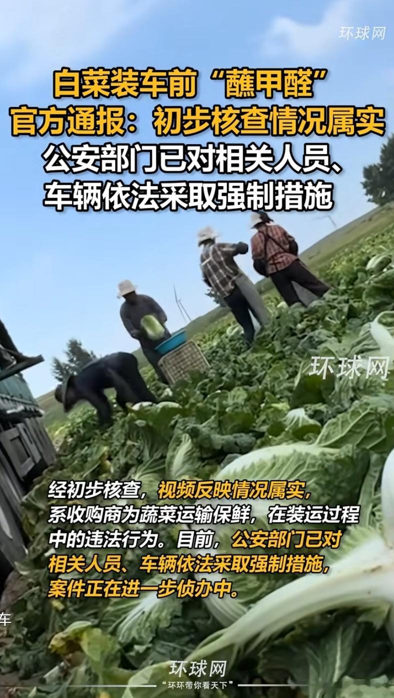 甲醛白菜屡现：十余年难绝的田间警示·默斋主人原创政论性社会时评八月坝上，白菜进入