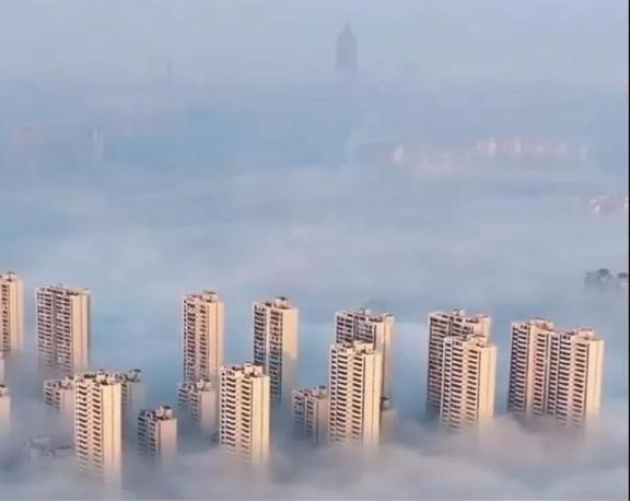 德国网友曾说世界上有两个骗子国家，一个是美国，一个是中国。美国称自己是世界上最强