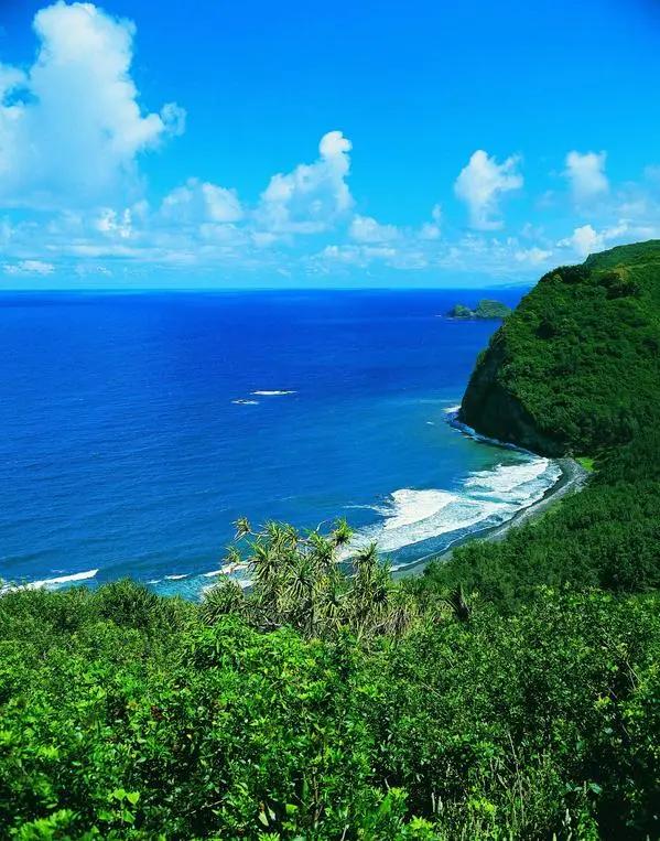 这两记重拳让特朗普有点懵圈！

1月13日，特朗普在集会上宣布：“中国已成为美国