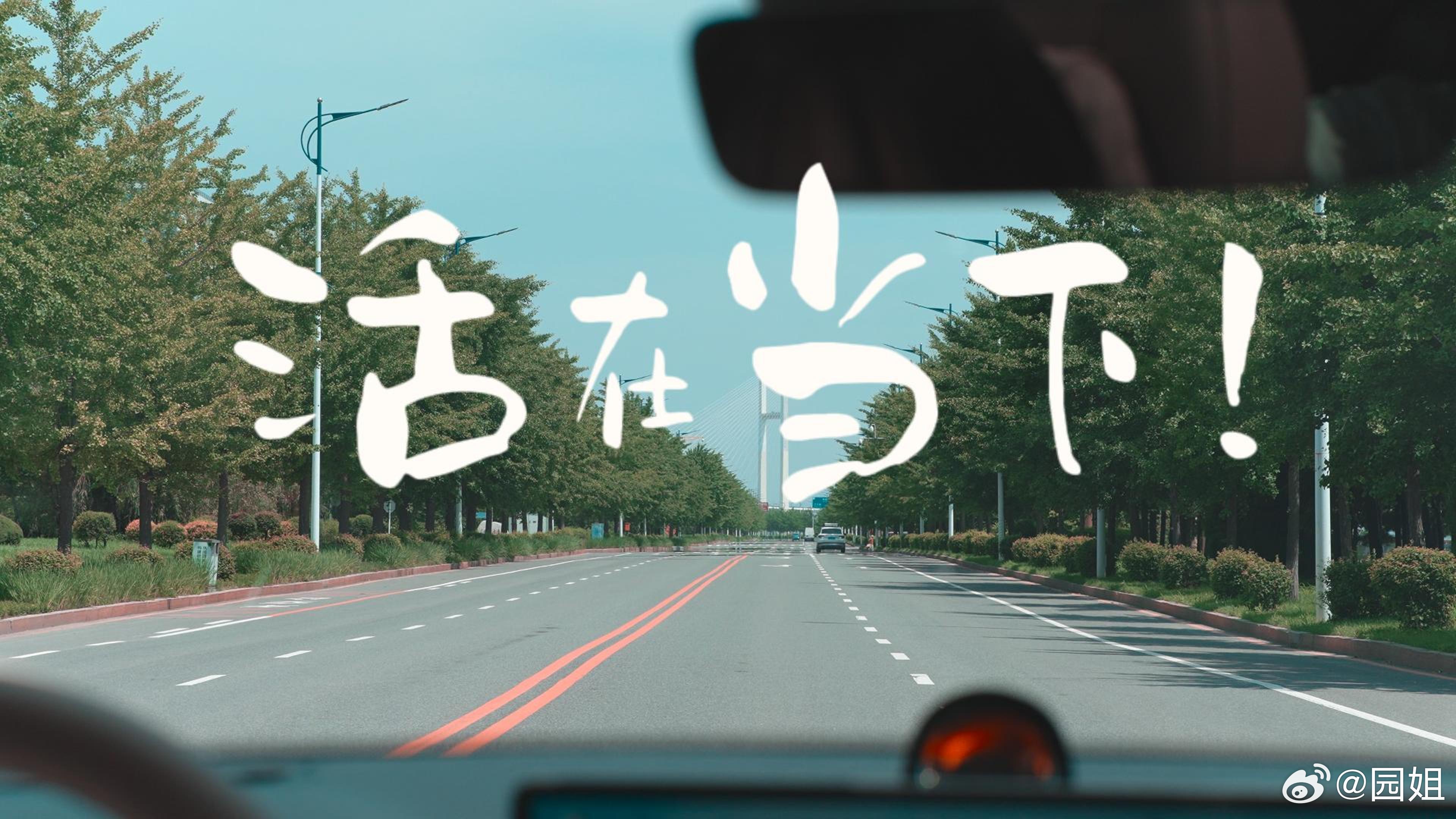 和工作室小伙伴，耗时10天拍剪了一期2分34秒的视频，前后调整了五个版本，甚至觉