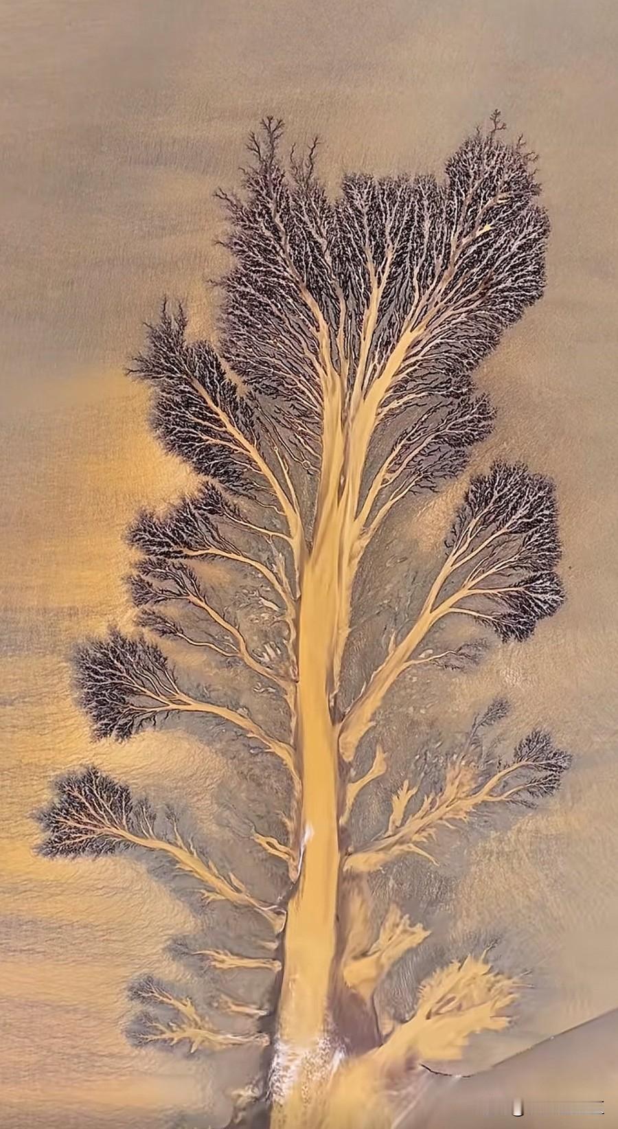 钱塘江写给大地的“树”，原来江水也是绘画大师。
 
潮水是笔，滩涂是纸，退潮的刹