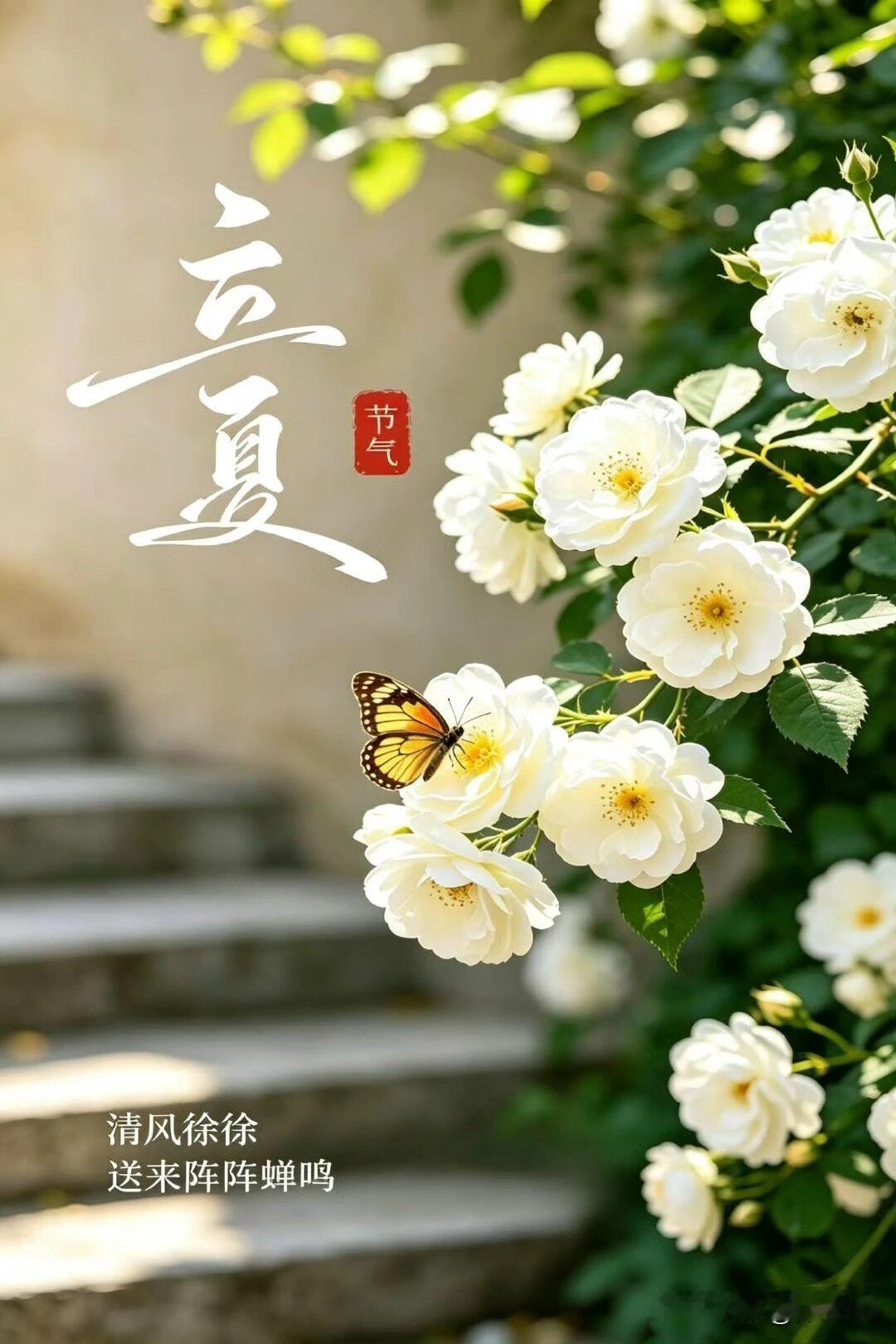 万物生长，不负韶华
愿你我怀夏日之热忱拥时光之活力向阳而行，奋楫而上在葱茏夏日，
