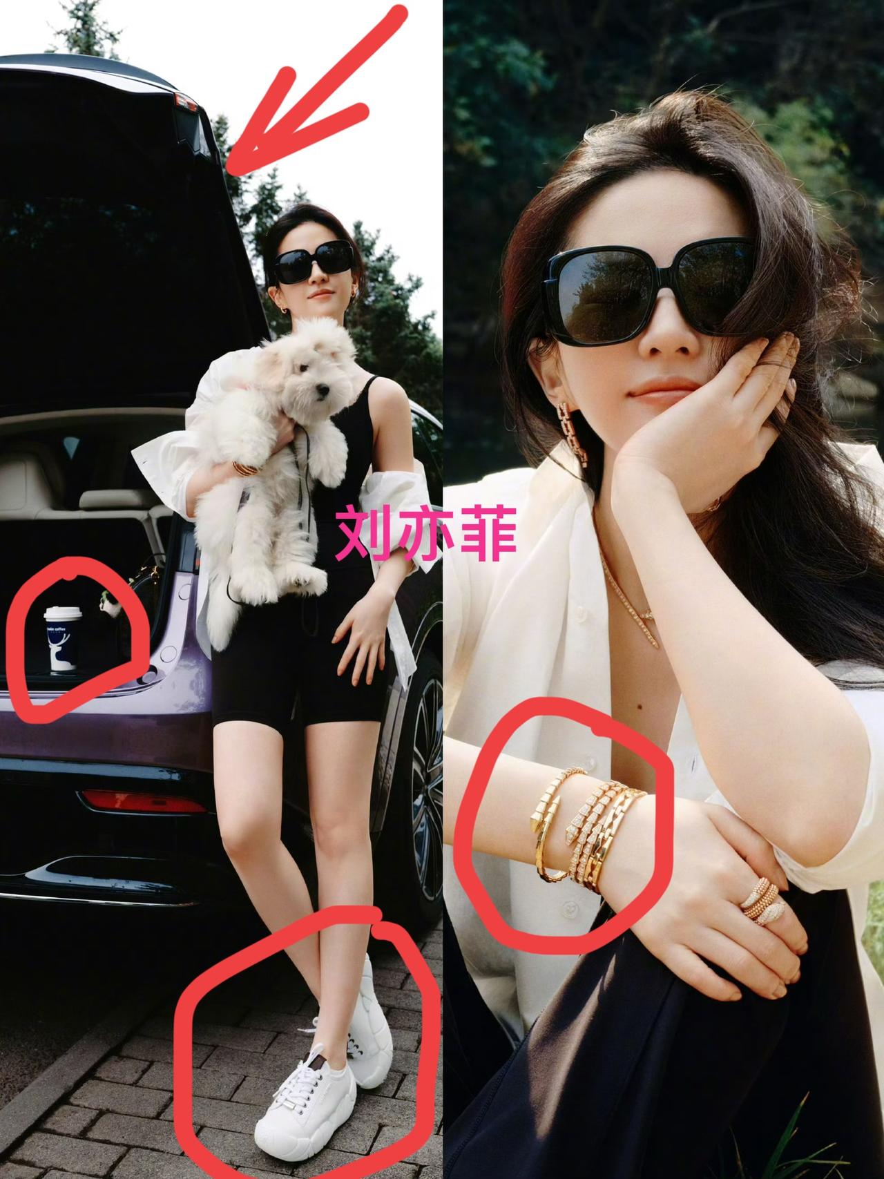 9000万一图搞定！刘亦菲玄机满满：说好的旅游照，其实是宣传照？

终于明白38