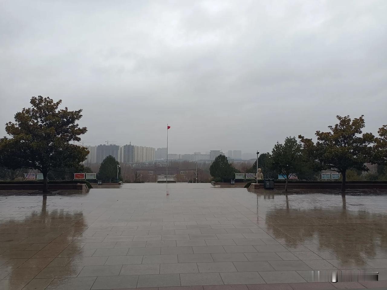 今天的雨，下成了我们期望的样子！

今早上一起来，黑洞洞的窗外传来了雨滴洒落的声