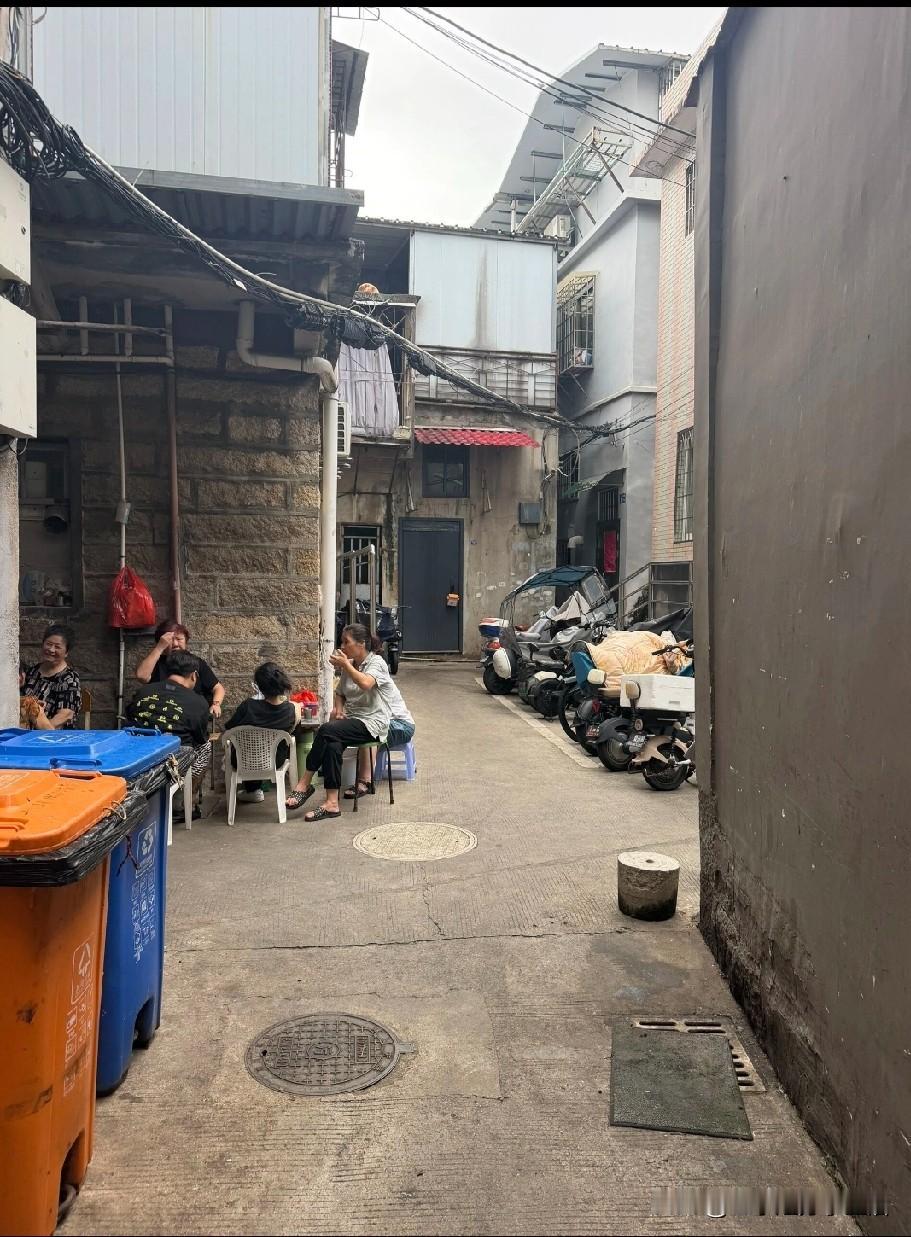 厦门人的素质是真的高！一个闹市的公共厕所比家里的都干净！真的没法比！！