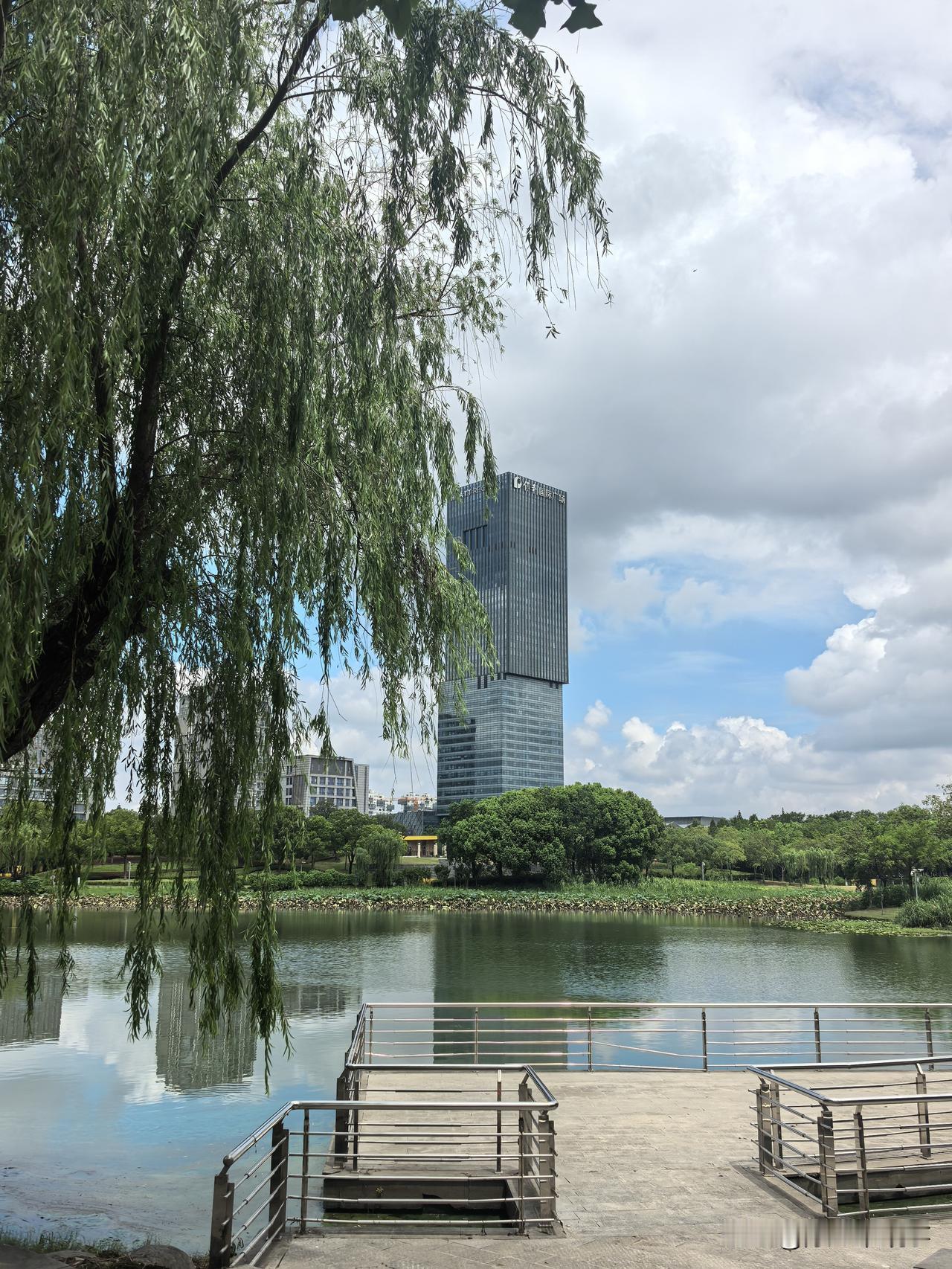 周末品茶赏景
一大早去跑步，回来喝点小米粥，之后冲了个澡。觉得不能浪费周末，就骑