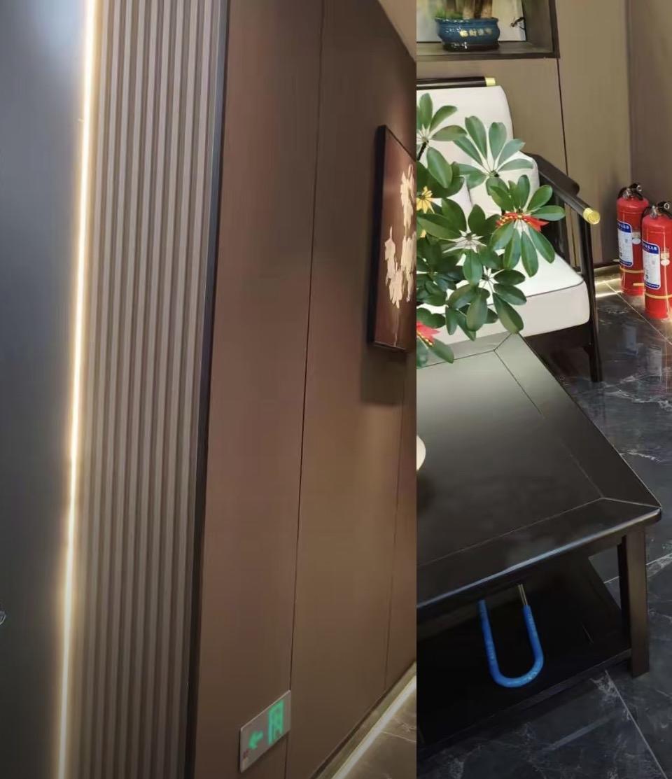 现代简约风格客厅，绿植点缀，温馨舒适。