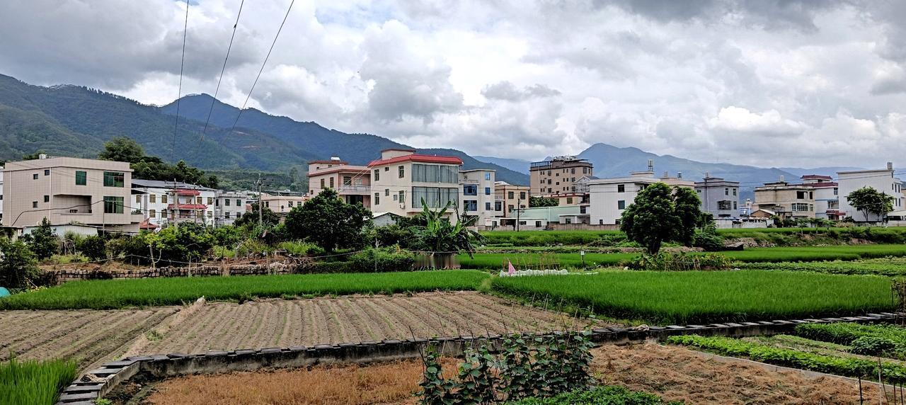 长泰区——林墩石横村乡村气息，农田景色。