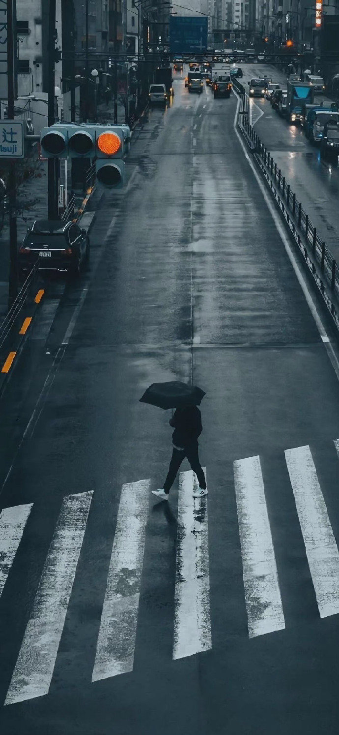 唯有离别，才是人生。——太宰治《惜别》