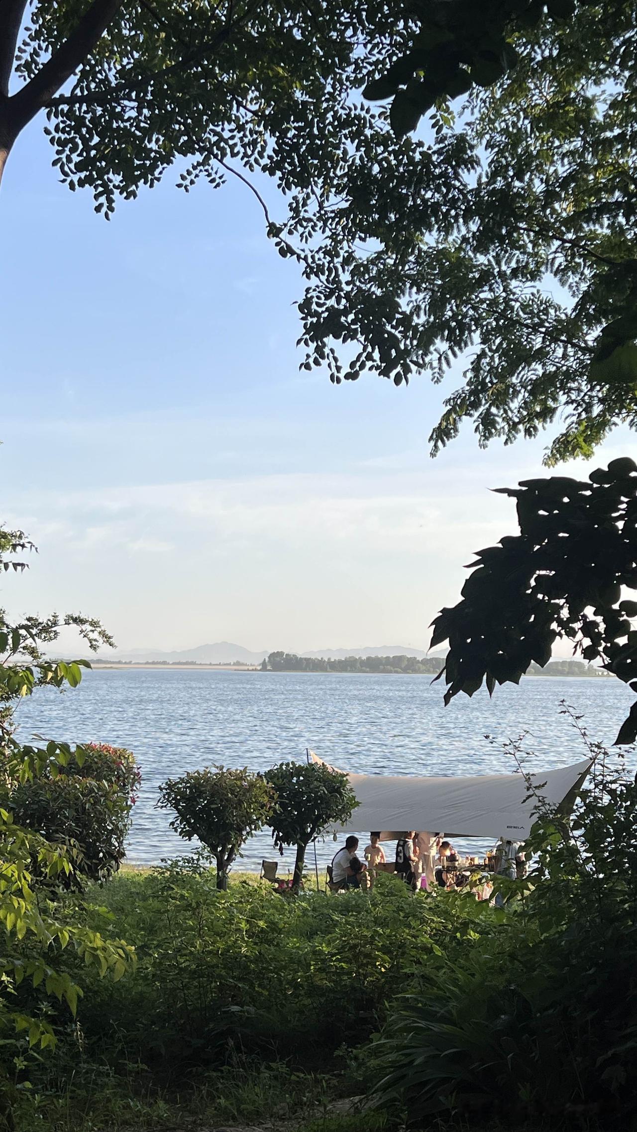 这里真是太美了，面向平顶山的海，岸边树荫下夏风习习，适合坐在这里发呆，记得带瓶水