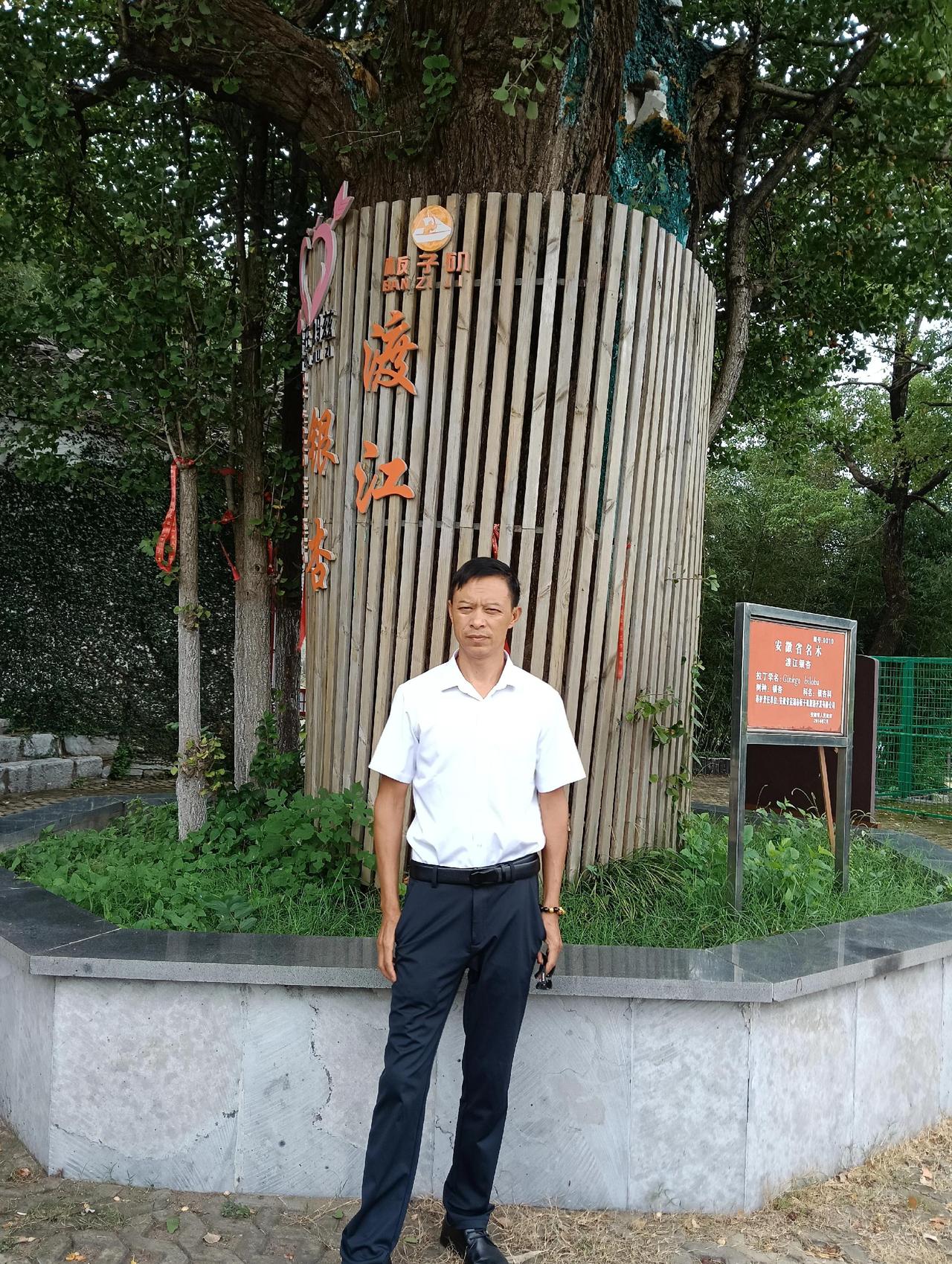 八月十五中秋节