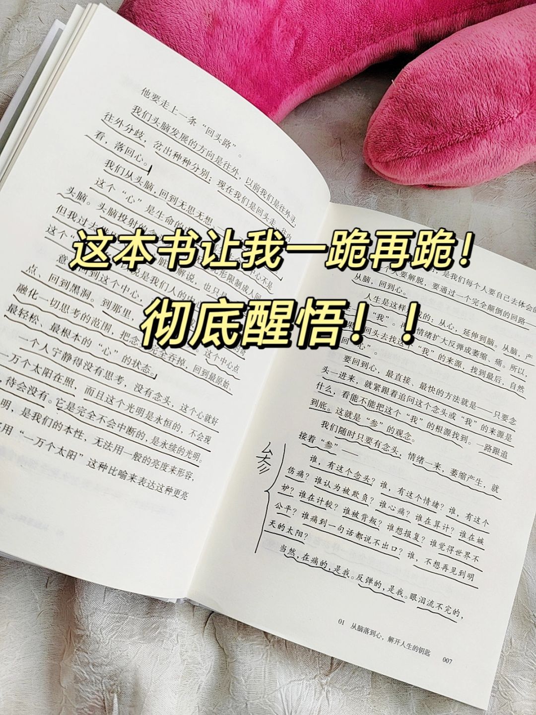 不愧是杨定一！读完彻底醒悟！