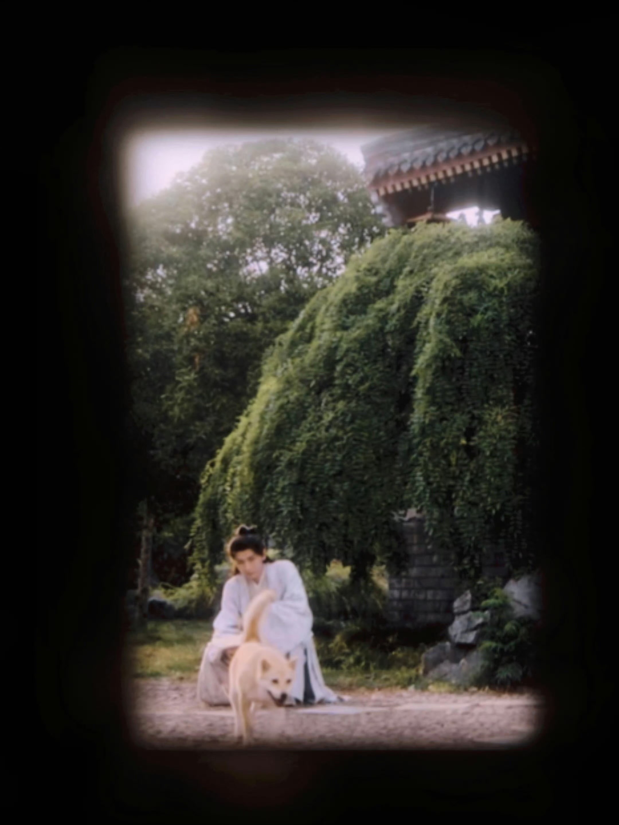 成毅莲花楼一些李莲花的美好瞬间！ ​​​