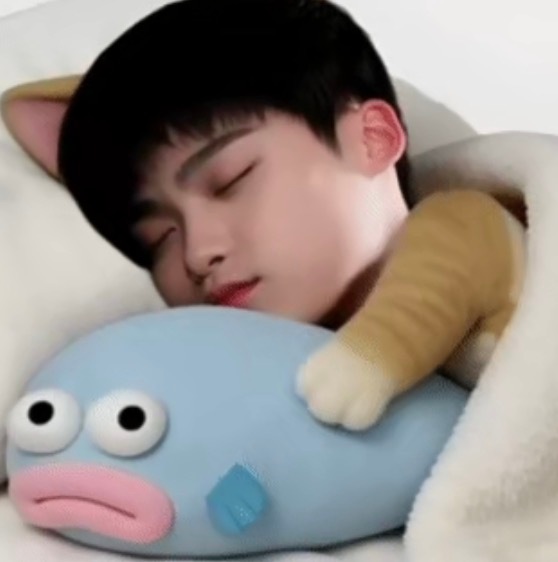 我要和我家明星睡觉去了 ​​​