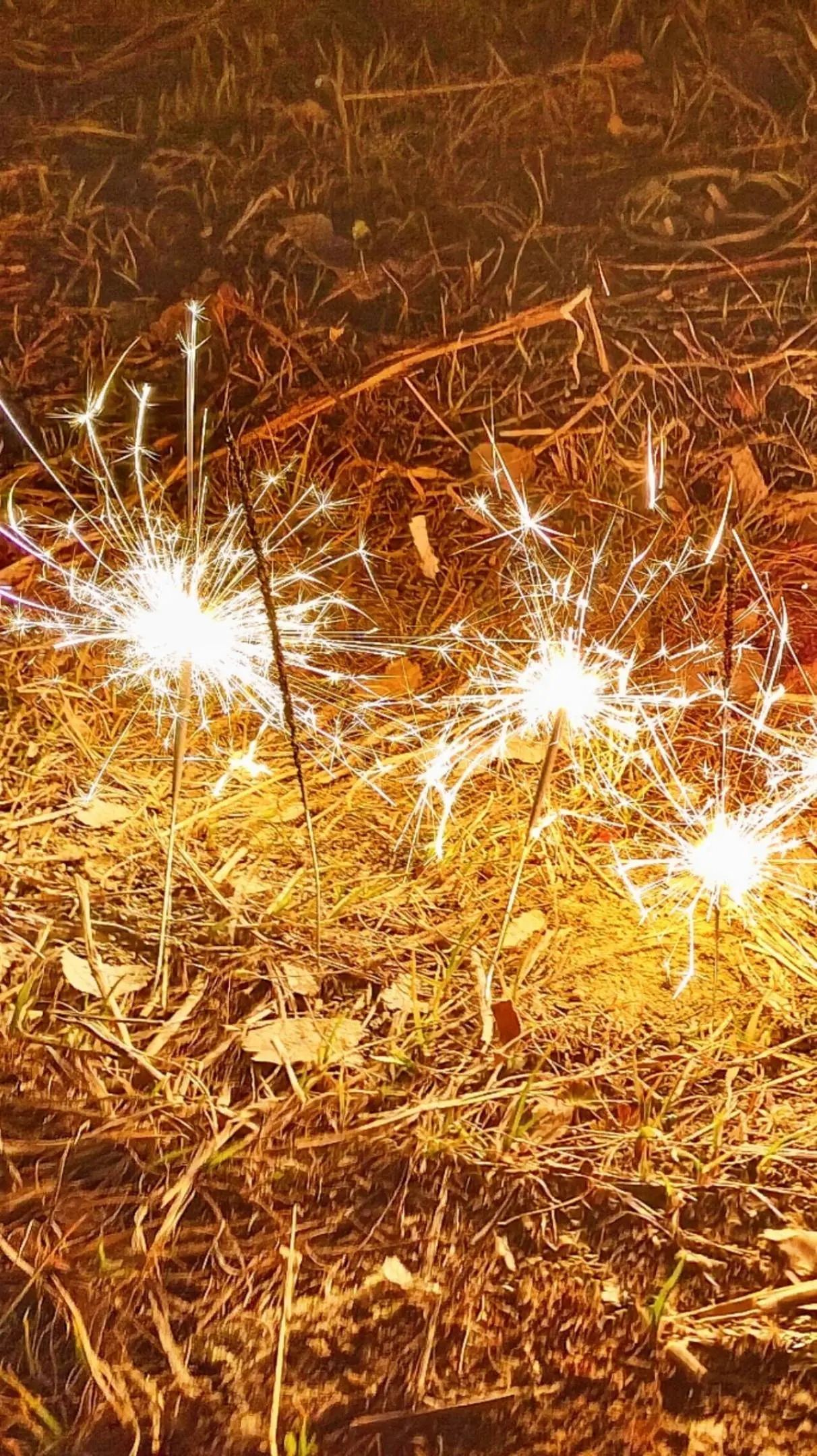 “希望今年的脑子会比去年的好用                    ...