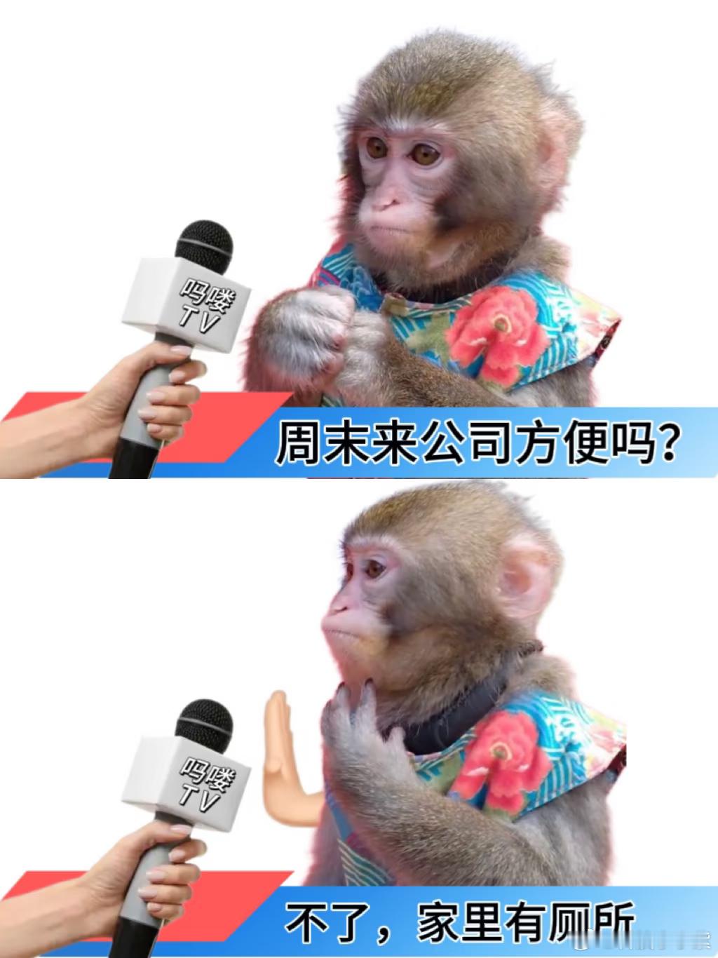 现在找工作已经不是工资问题了现在找工作这么难吗？如果求职四处碰壁，干脆整了个号内