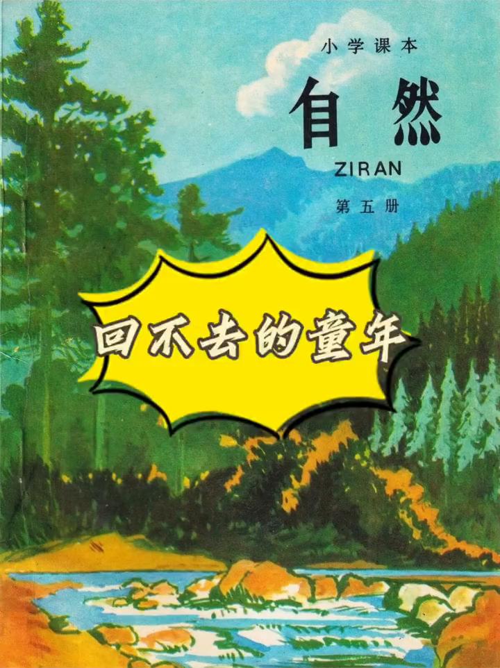 回不去的童年。