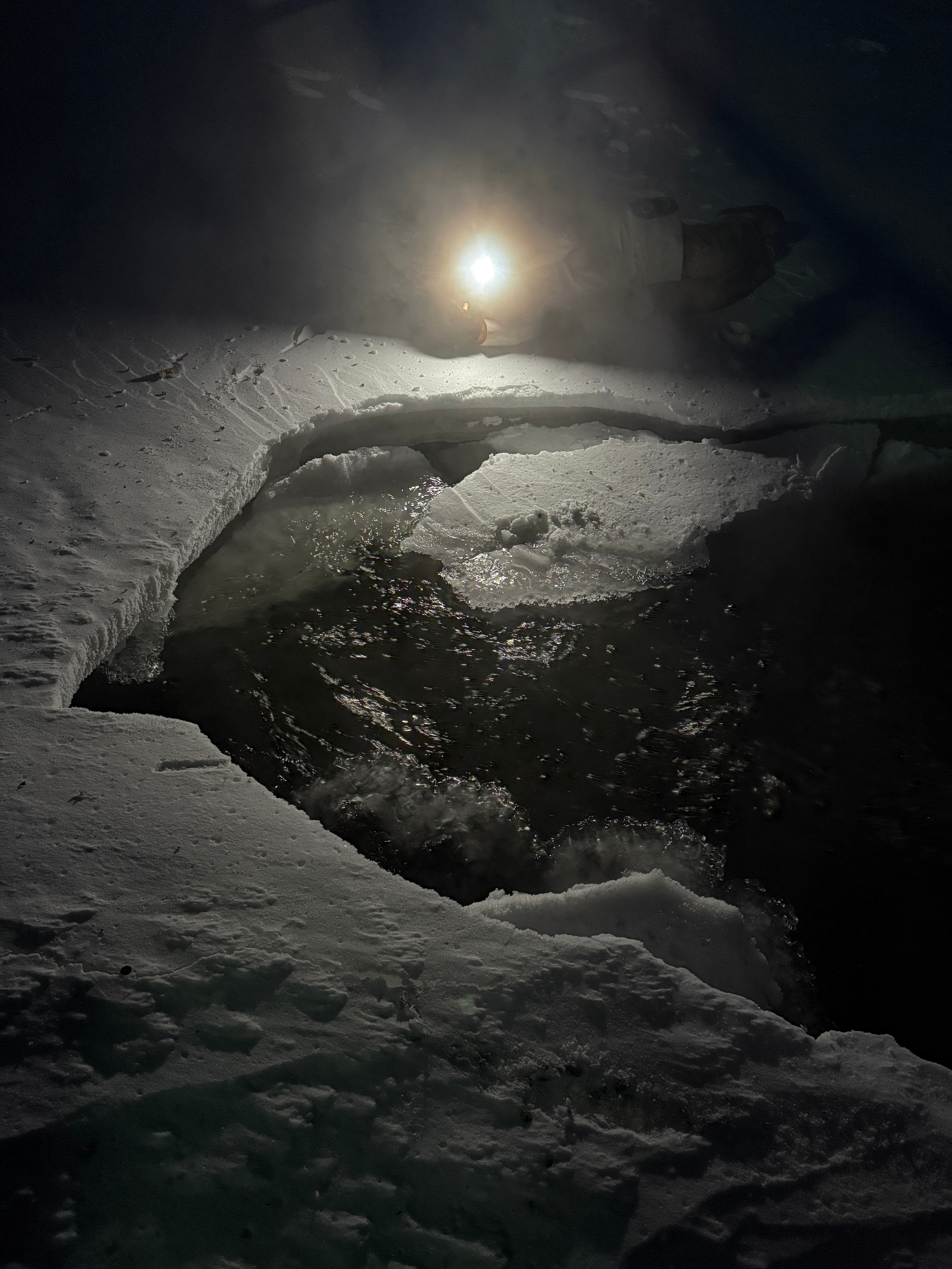 寂静的平原上，爱人的围巾绕在我脖子上。这样的地方，什么都不必说。读一点双雪涛就够