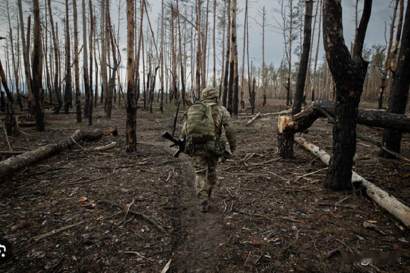 ### 俄罗斯发现乌克兰为恐袭人员设置的逃生通道 ###——俄罗斯驻布良斯克地区