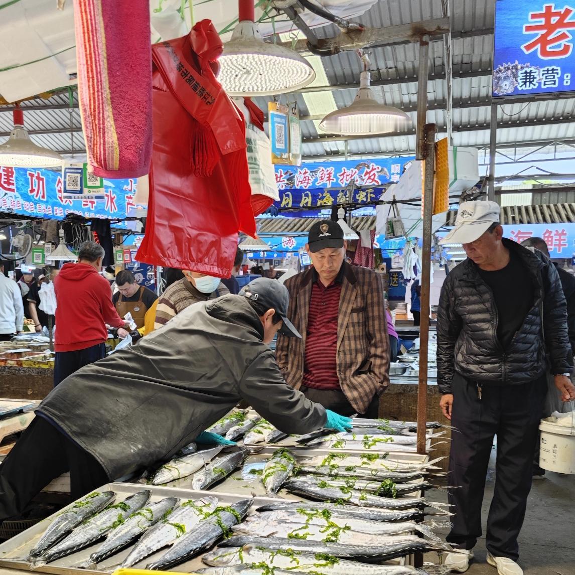 距离封海还有一周的时间了，眼下卖的最为红火的依然是春鲅鱼了。
这些日子鲅鱼的价钱