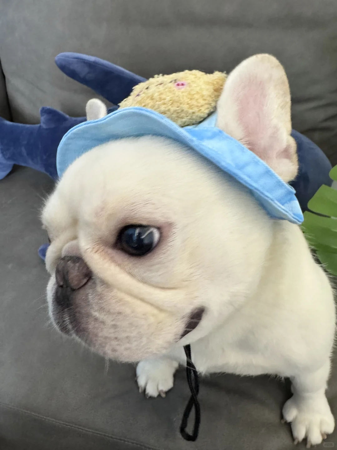 工作暂停！收拾下准备放假啦！