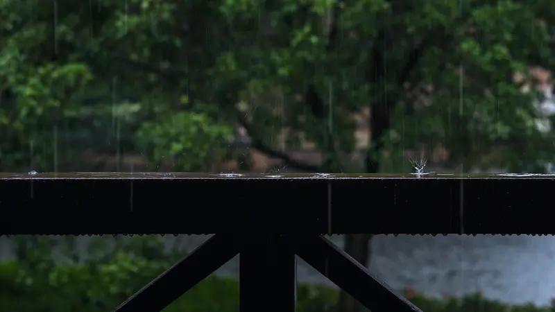 读友的诗，不禁让我想起欧阳修《临江仙》中的“柳外轻雷池上雨，雨声滴碎荷声”，此句
