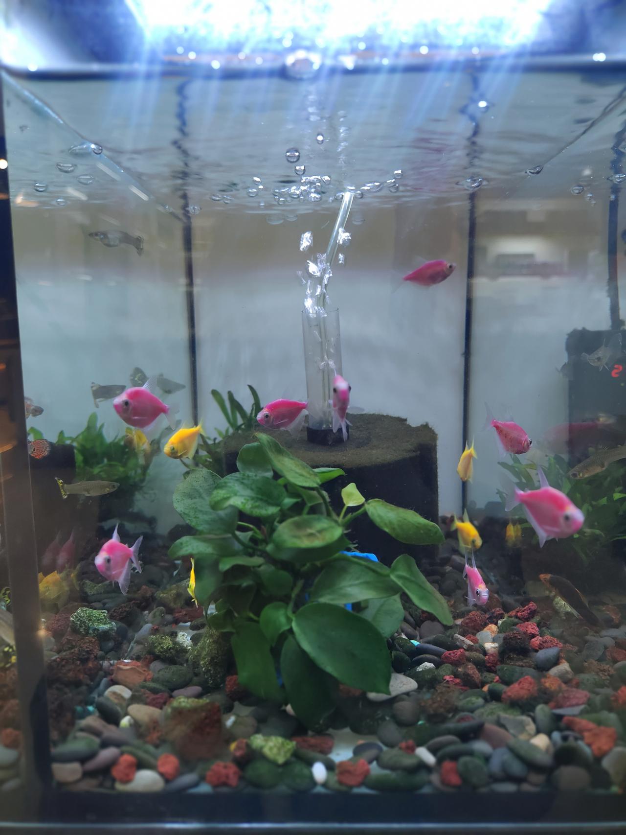 人到中年，
就像一根紧绷的弦。
睁开眼，
周围全是依靠你的人，
却找不到一个你可