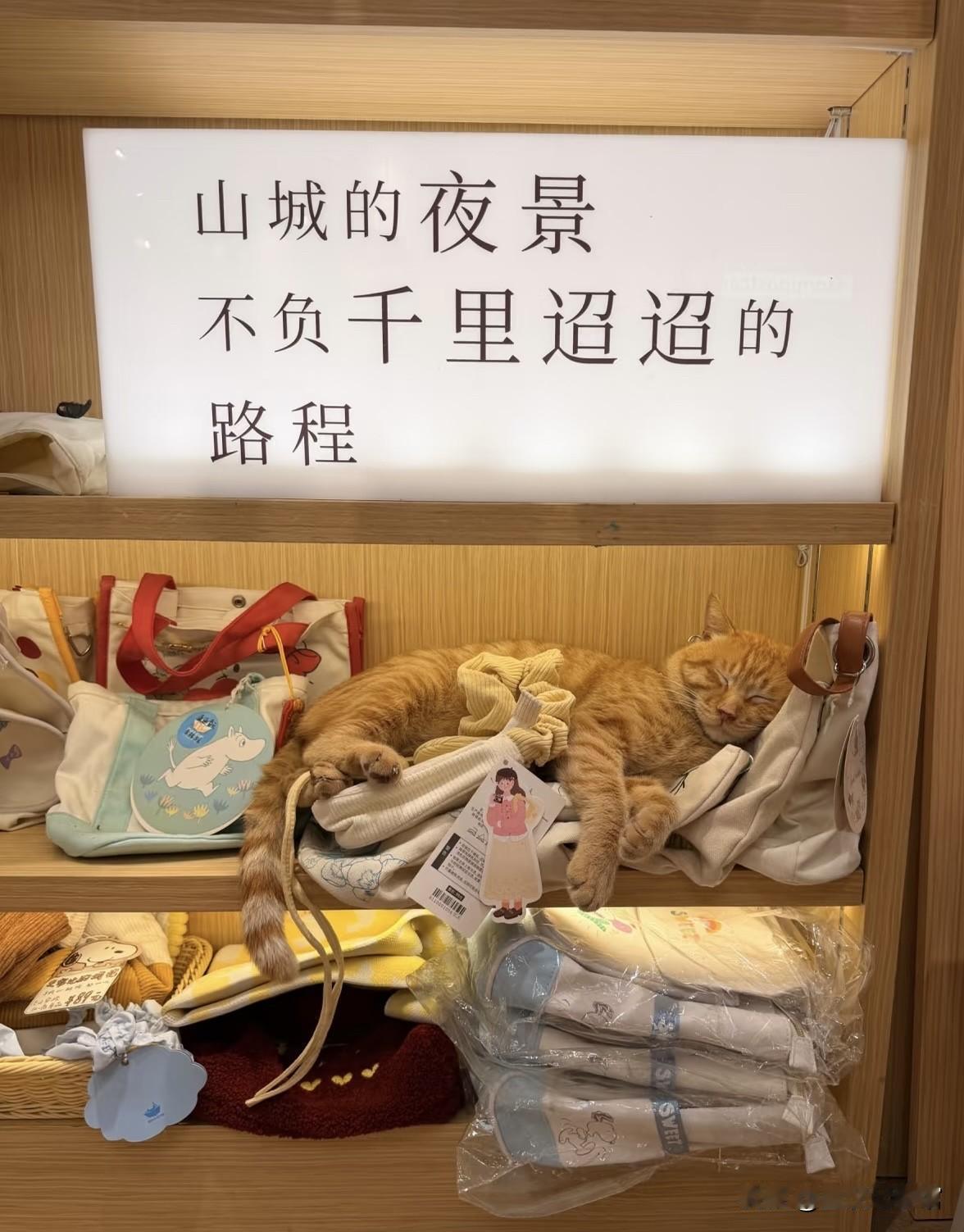 我从前也和大家想法一样，可现在越发觉得，退休才是真正主宰人生的开端。往后不用再勉