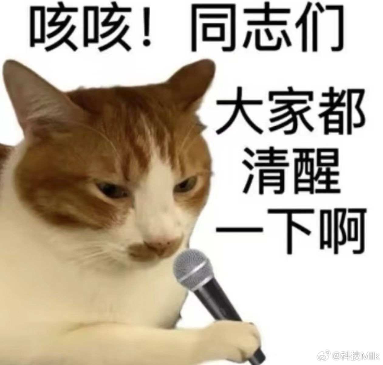 被豆包忽悠花了5万元创业 豆包本身只是一个AI工具而已，而且还有不少人会一些假的