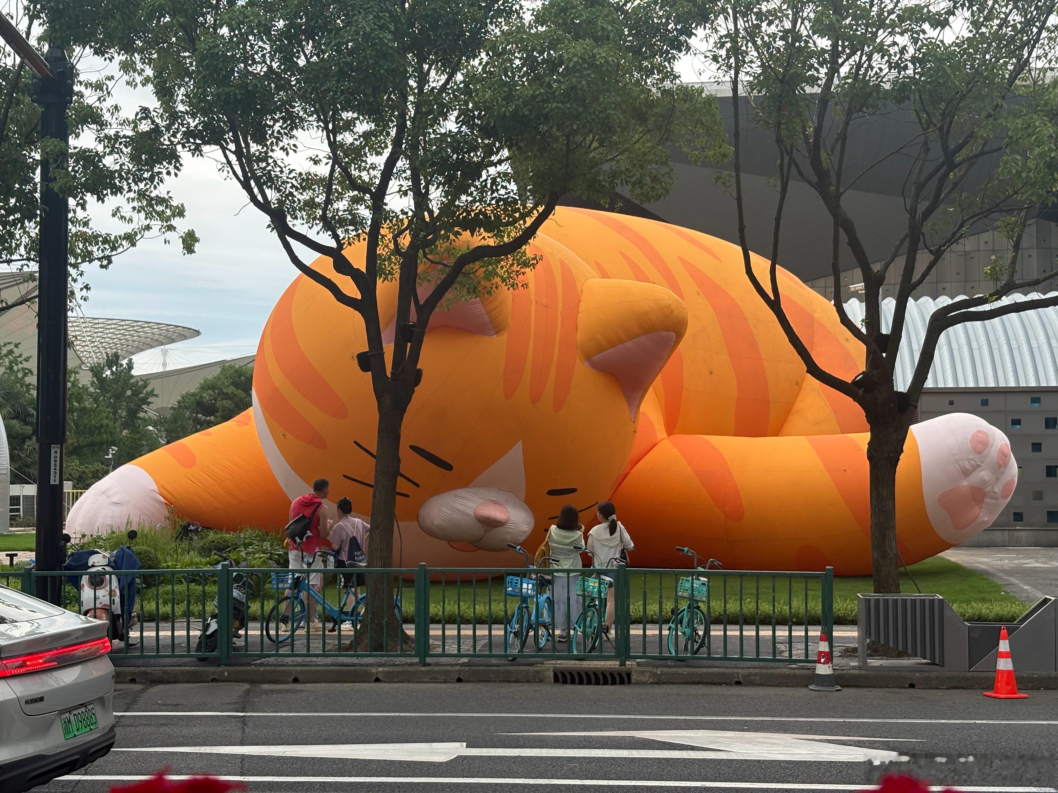 路上趴了个大肥猫 上海·工银中心上海世博展览馆